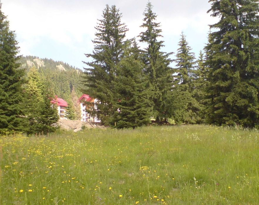 Продава се Парцел в к.к. Пампорово - 3565 кв.м за 20 €/кв.м - Снимка #3