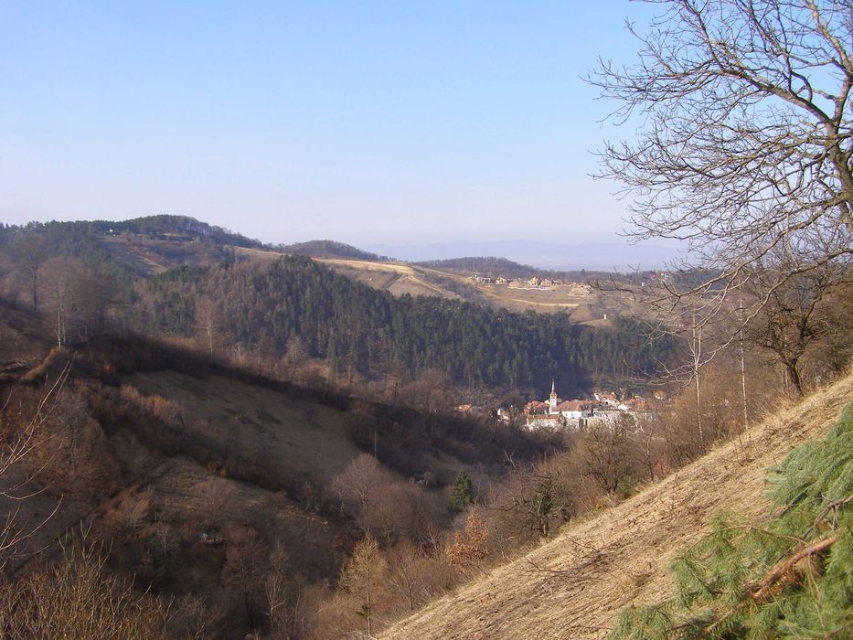 Casa si gradina in Brasov