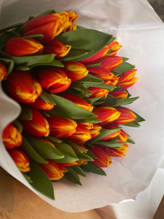 Тюльпано оптом на 8 марта по 450тг