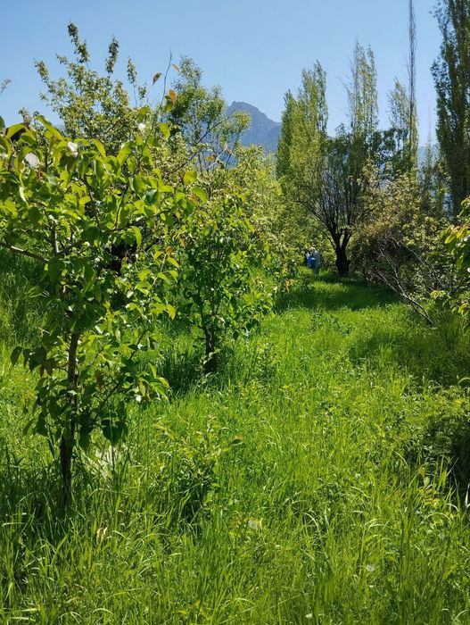 Йер сотилади 16 сотих