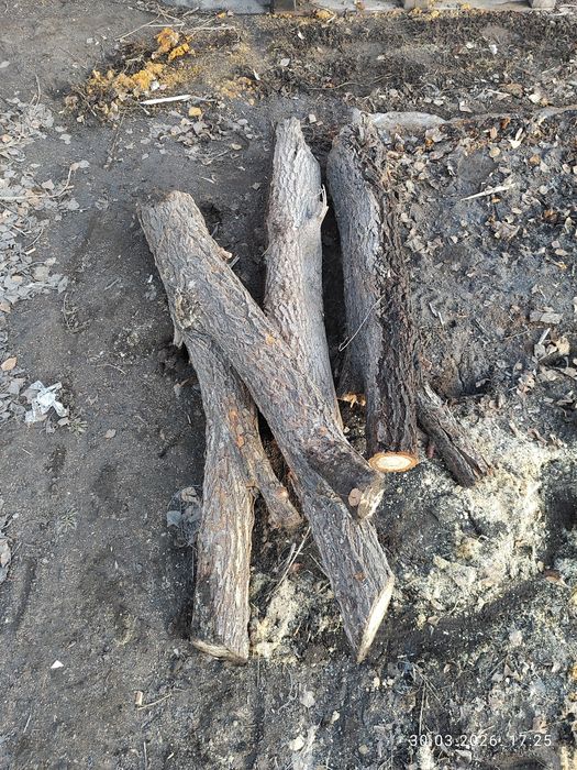 Продам дрова  САМОВЫВОЗ