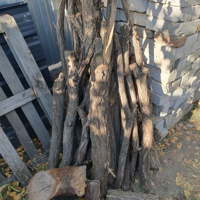 Продам дрова. Карагач.