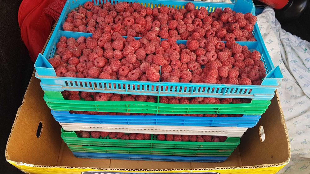 Пластмасови касетки, щайги. Различни размери!