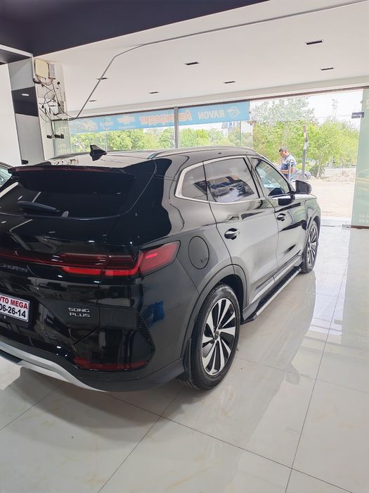 Продается Биваеди чемпион гибрид 2024/2025