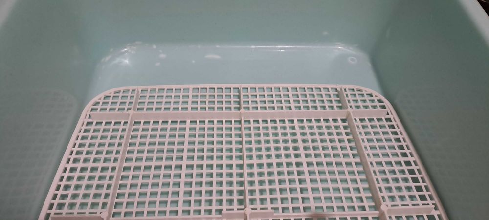 Лоток для кошек в хоршем состояние