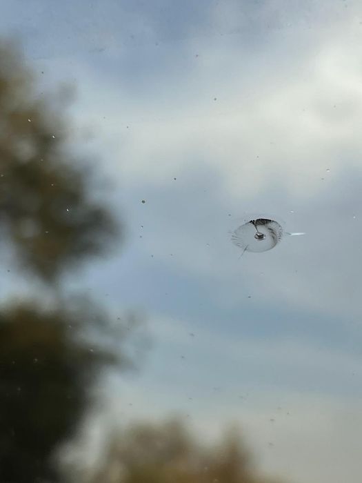 РЕМОНТ Трещин, Сколов Выезд