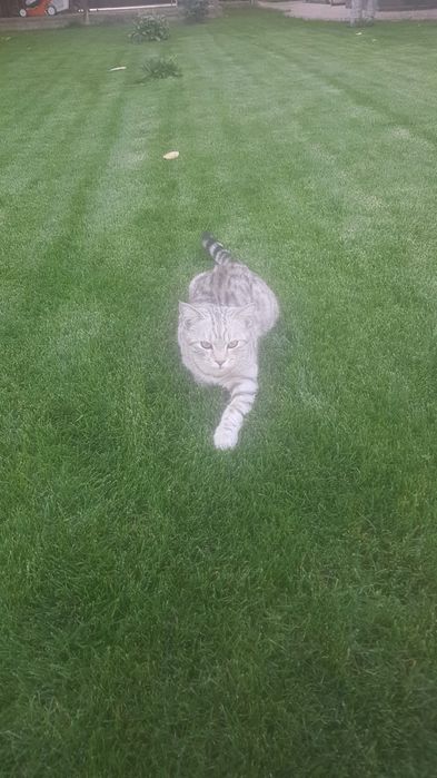 Газон Автополив жасаймыз.