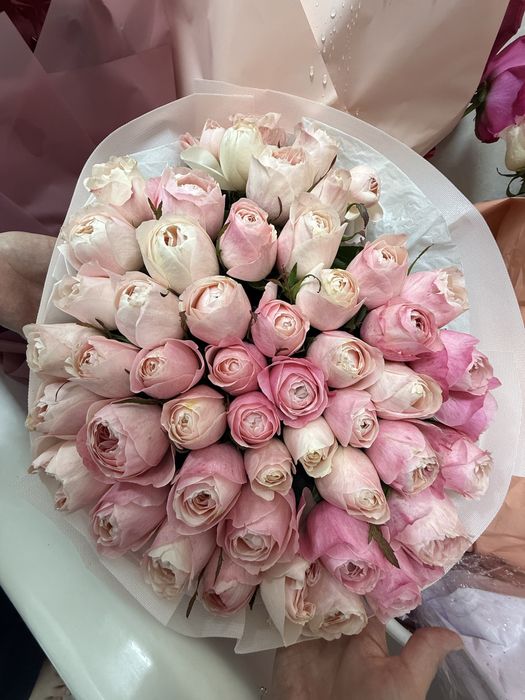 Цветы розы свежие