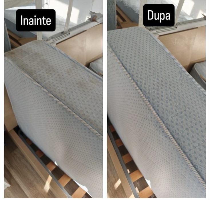 Curatare profesionala la domiciliu