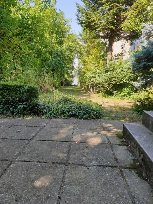 Vila de inchiriat pe malul lacului Snagov, in Ghermanesti, cu iesire directa la lac, ponton privat, gradina si liniste