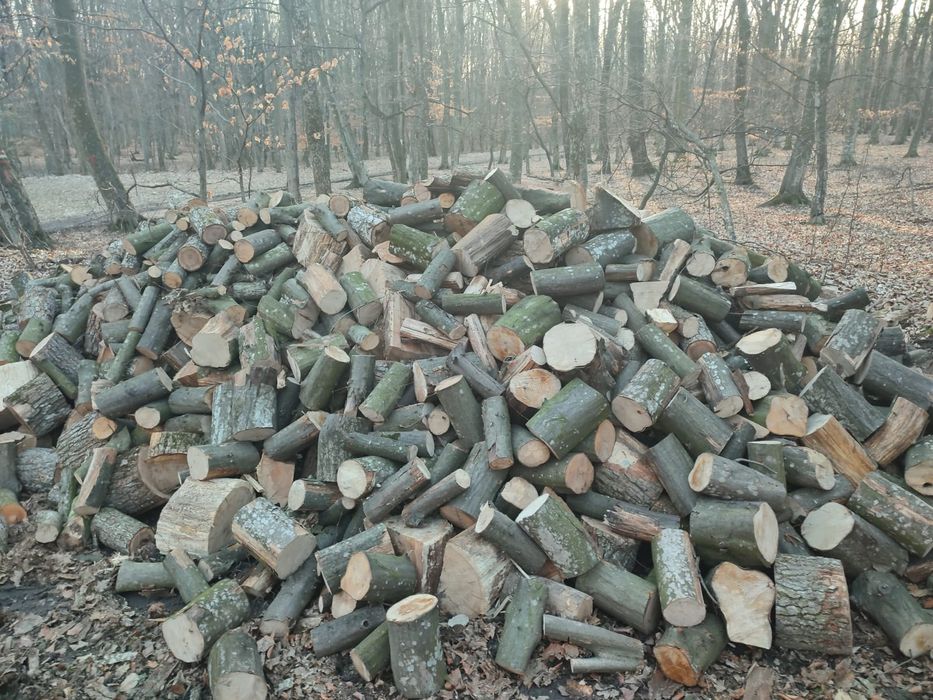 Vând lemn pentru foc