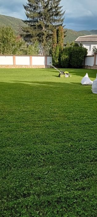 Косене и поддръжка на зелени площи