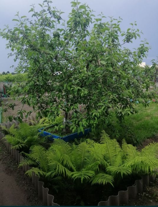 Продам дачу в СО Железобетонщик