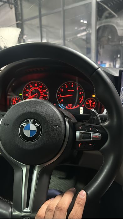 Ёлка все виды есть