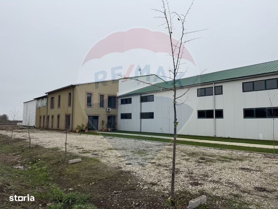 Ferma agro-industrială – 43 ha Adunații Copaceni