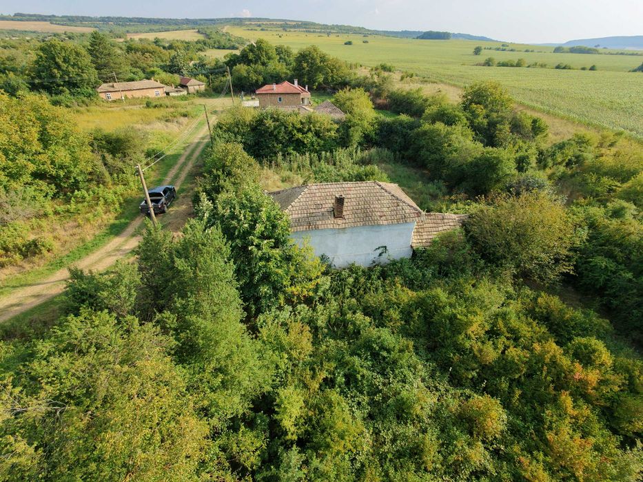 Къща с двор 2 059 кв.м в село Глогинка, общ.Попово
