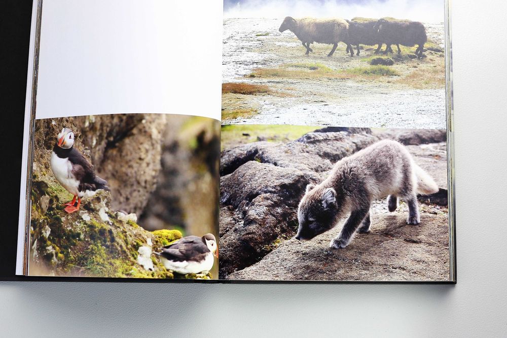 Чисто нов фото албум с невероятни снимки от Исландия от Ulrike Crespo.