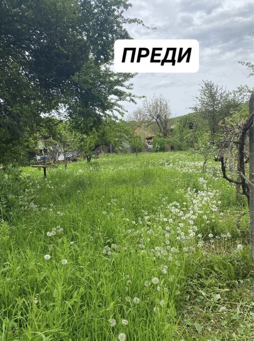 Косене и поддръжка на имоти
