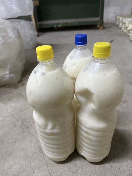 Кымыз жанаарка кымызы