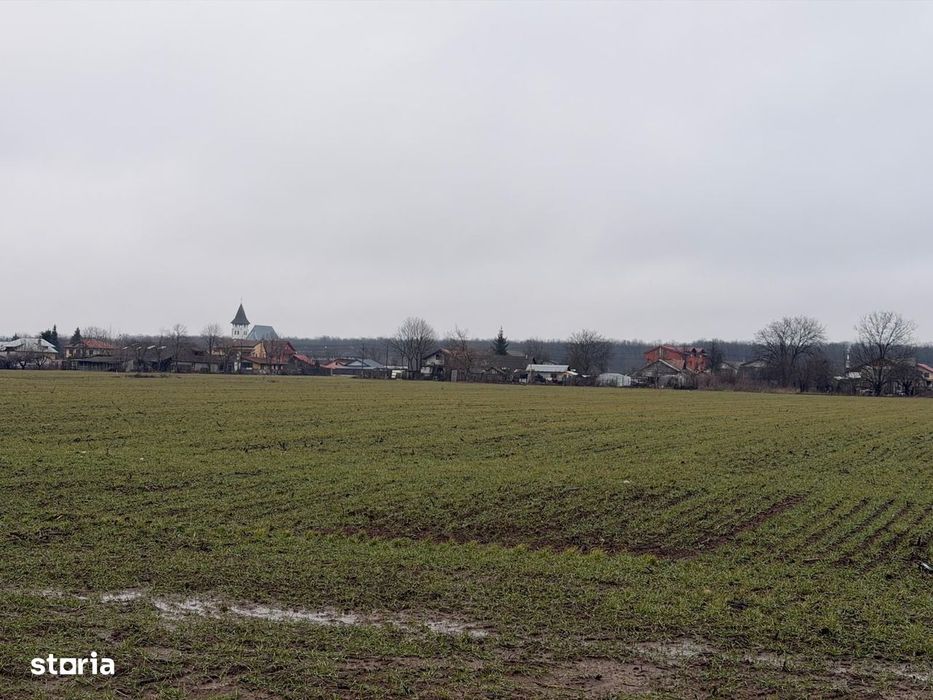 Teren Snagov - Cioflinceni | Drum amenajat | Aproape de Padure si Lac