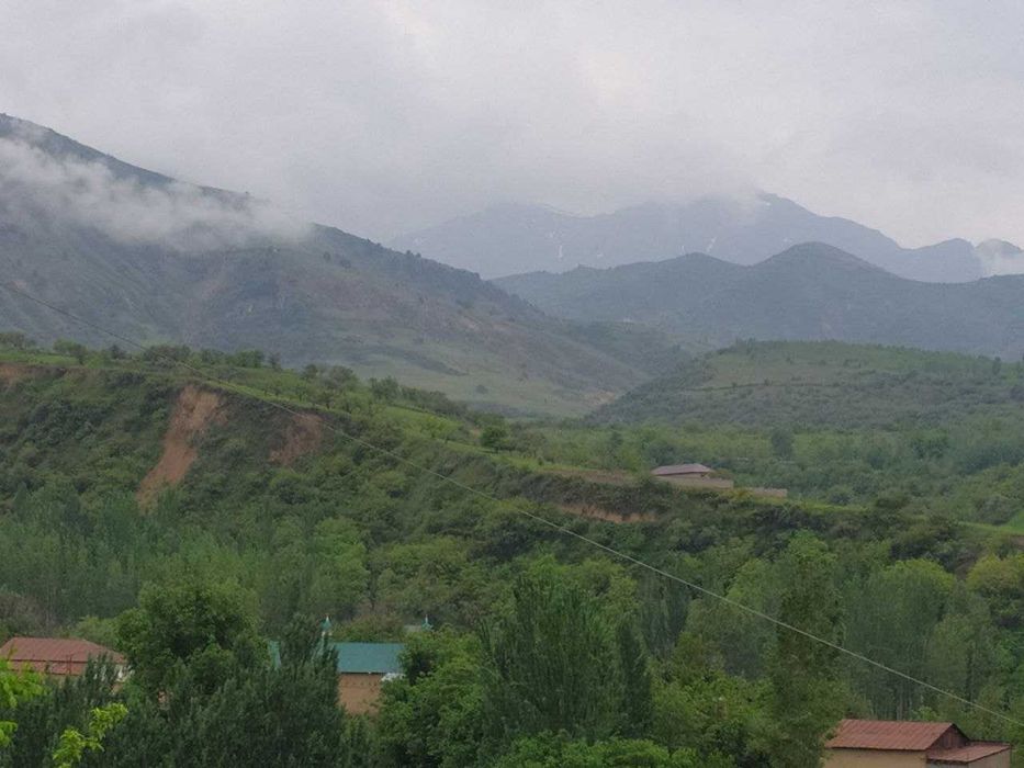 сдается дача в Кумушкане