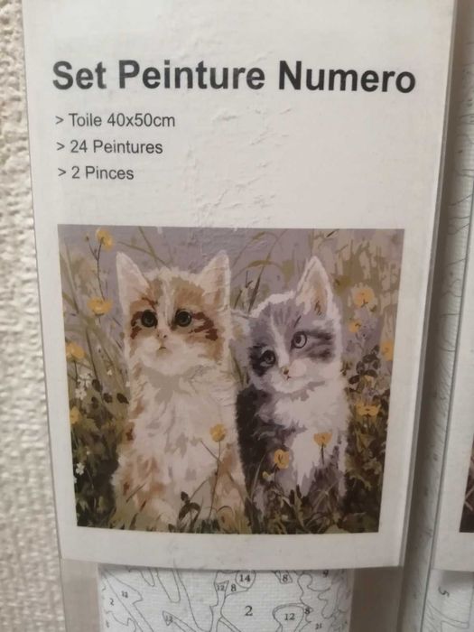 Книги и Комплекти платна с бои и четки - рисуване по номера.Бои,моливи