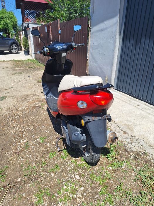 Scuter 49 cm acte Olanda