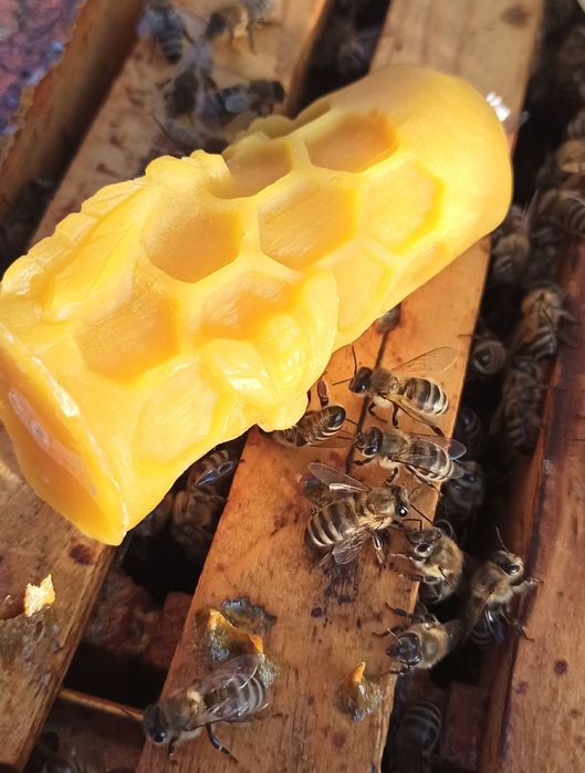 Свещ от пчелен восък