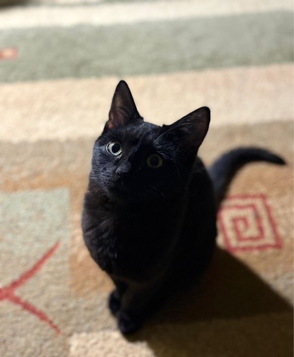 Мальчик 3-4 месяцев