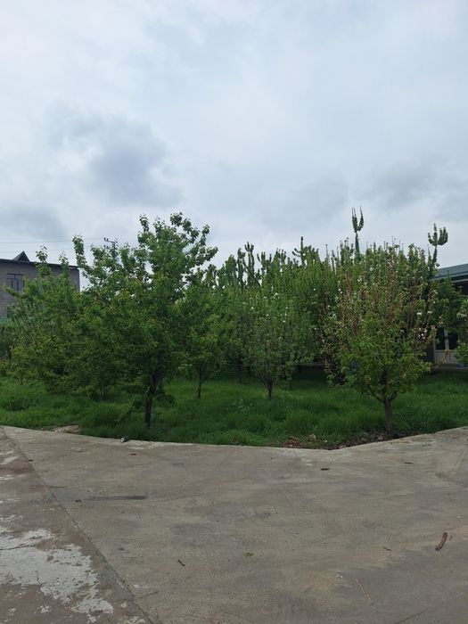 Arendaga joy bor Nijiloy