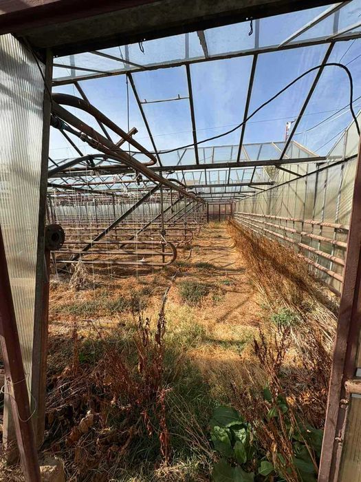 Дава се под наем Земеделски имот в Бухово -  кв.м за 629.34 € - Снимка #3