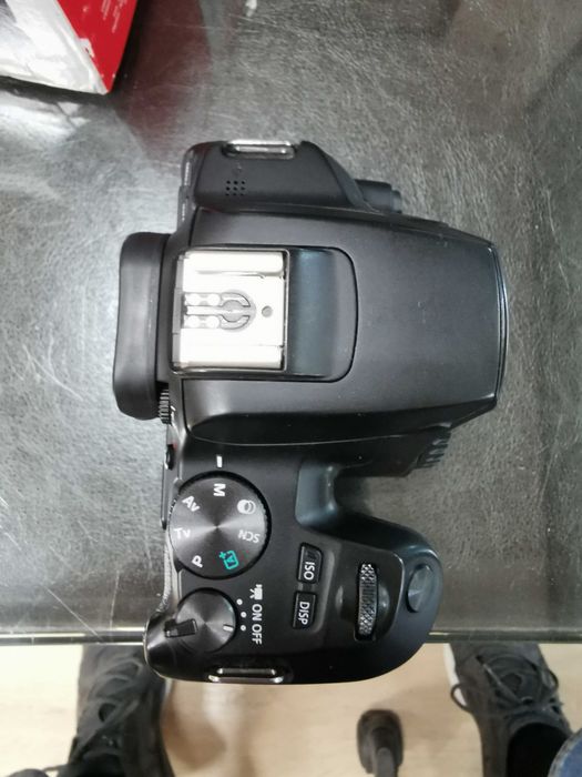 Canon 250D + Sigma 17-50 f 2,8