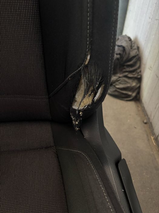 Салон за пасат 8