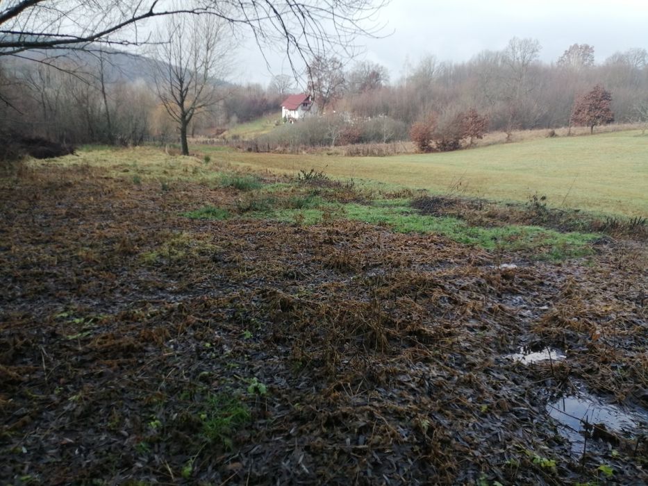 Teren de vânzare sovata