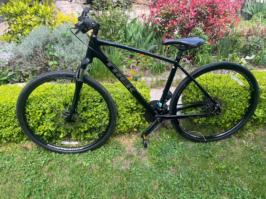 Trek Dual sport 2 Alpha gold