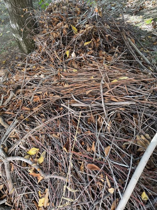 O'tin sotiladi/ Дрова