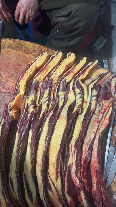 Продам мясо конины