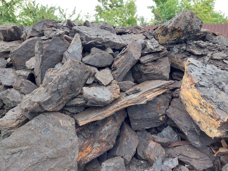 Carbuni lignit sortati