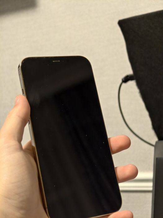 iPhone 12 pro max