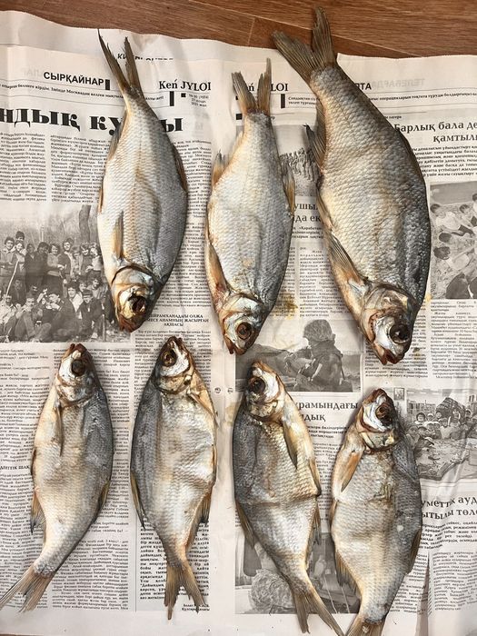 Продам вяленые рыбы рыбец ,чехня