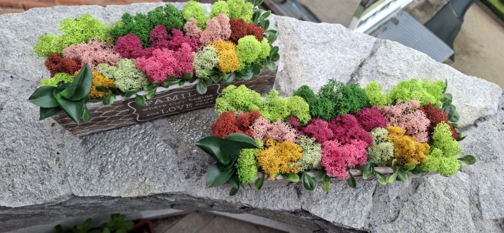 Кашпа със скандинавски мъх