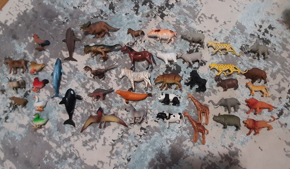 Animale domestice salbatice