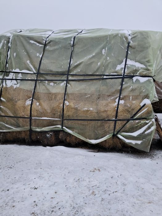 Baloti lucerna coasa 2.3.4