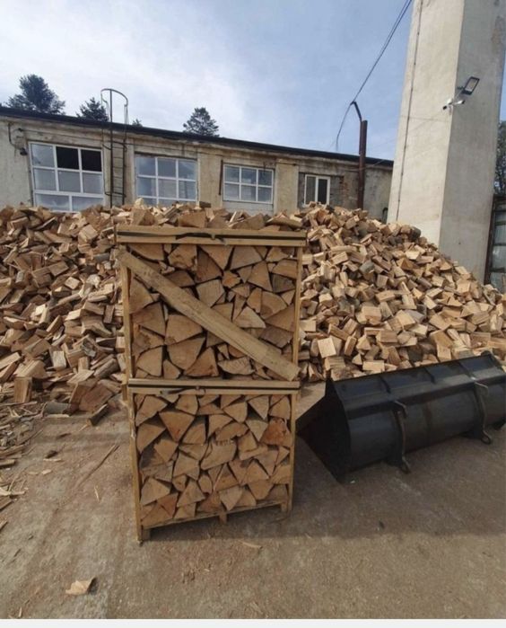 Lemne de foc taiate sparte