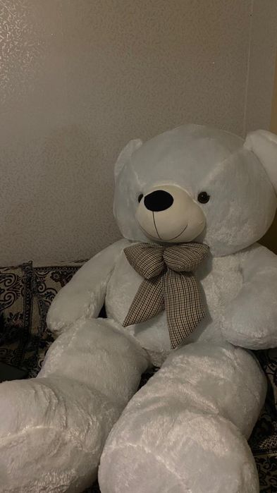 Мишка Нестор