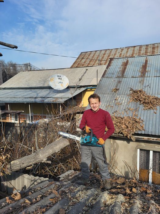 Спил деревьев агаш кесемиз