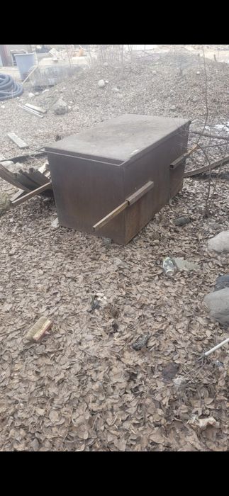 Коктальница большая