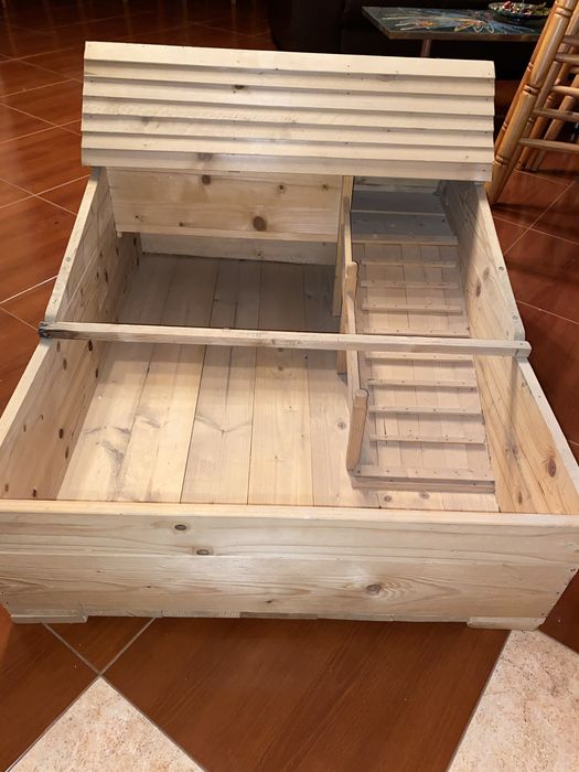 Cuscă broasca testoasa