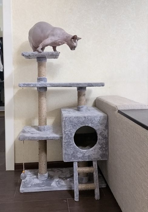 Кошачий домик, игровой комплекс