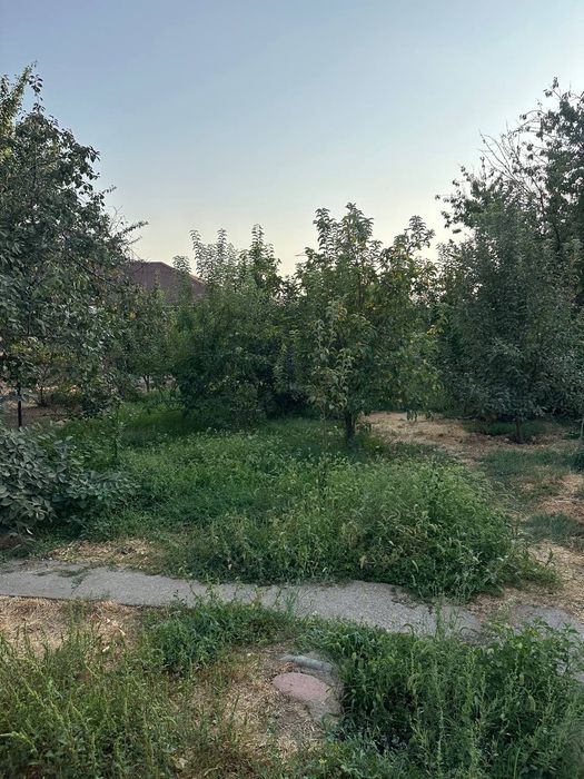 Продается дом с удобной локацией с фруктовым садом.